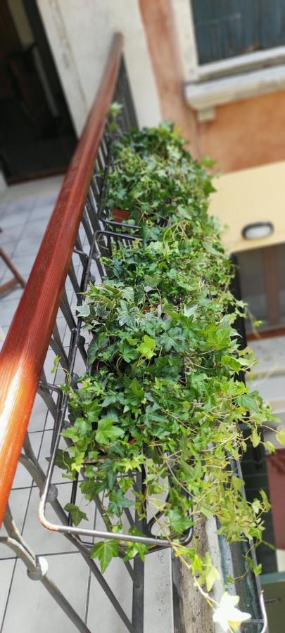 Ca' Baby Venezia Apartamento